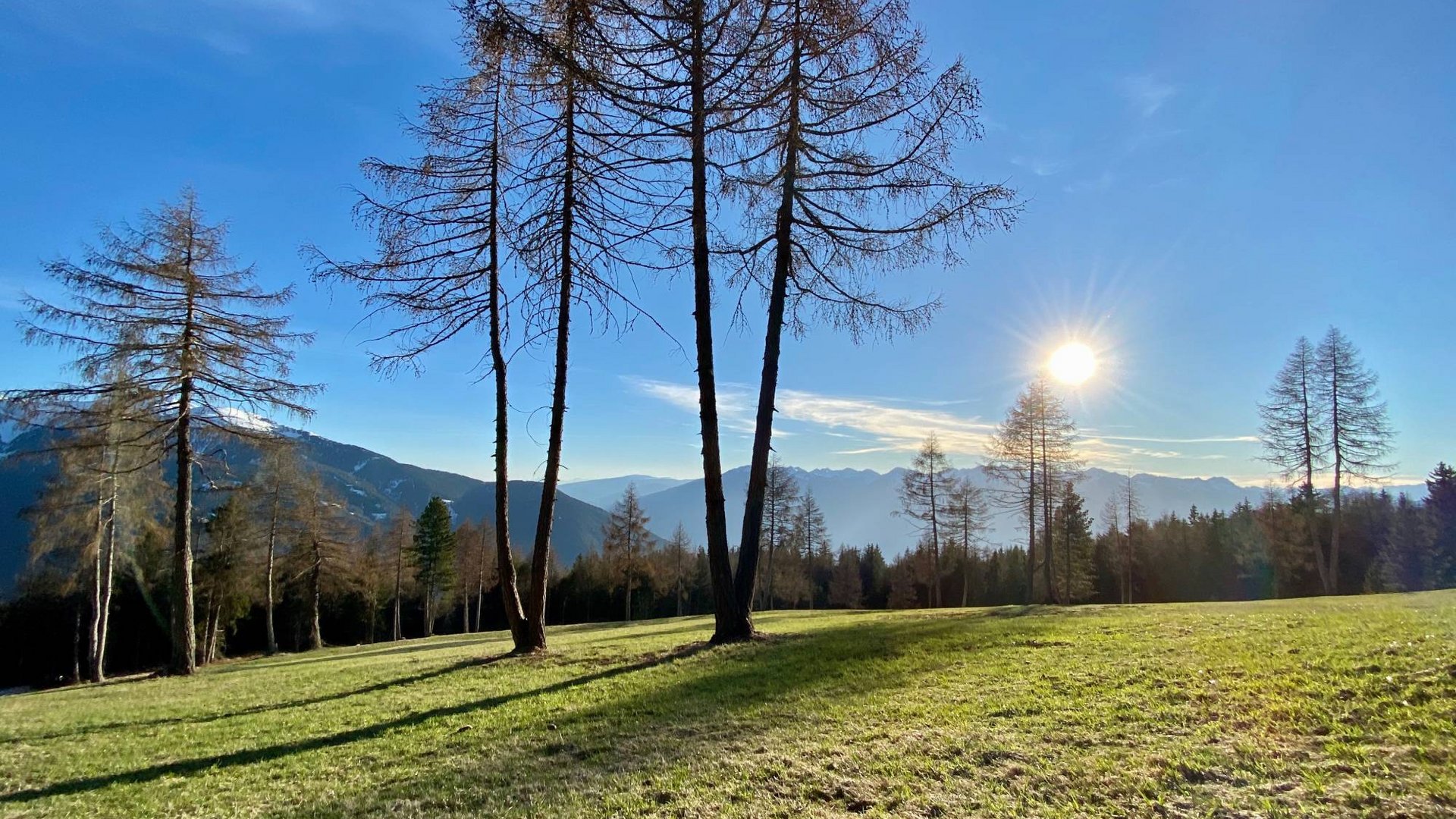 Frühling im Herol Frühling im Herol