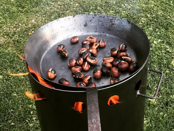 Autumn hiking in Valle Isarco/Eisacktal: It’s the most beautiful here! Autumn hiking in Valle Isarco/Eisacktal: It’s the most beautiful here!
