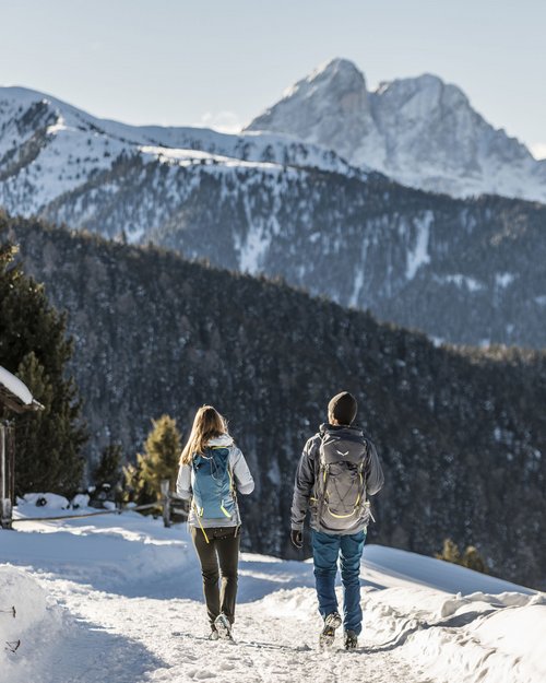 Snowshoe hiking on Alpe di Rodengo and Alpe di Luson Snowshoe hiking on Alpe di Rodengo and Alpe di Luson
