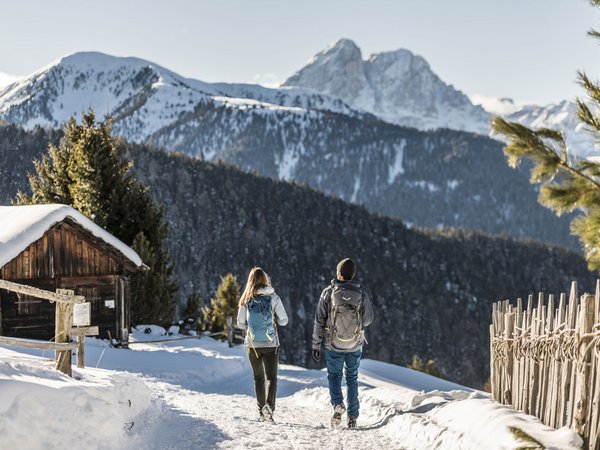 Snowshoe hiking on Alpe di Rodengo and Alpe di Luson Snowshoe hiking on Alpe di Rodengo and Alpe di Luson