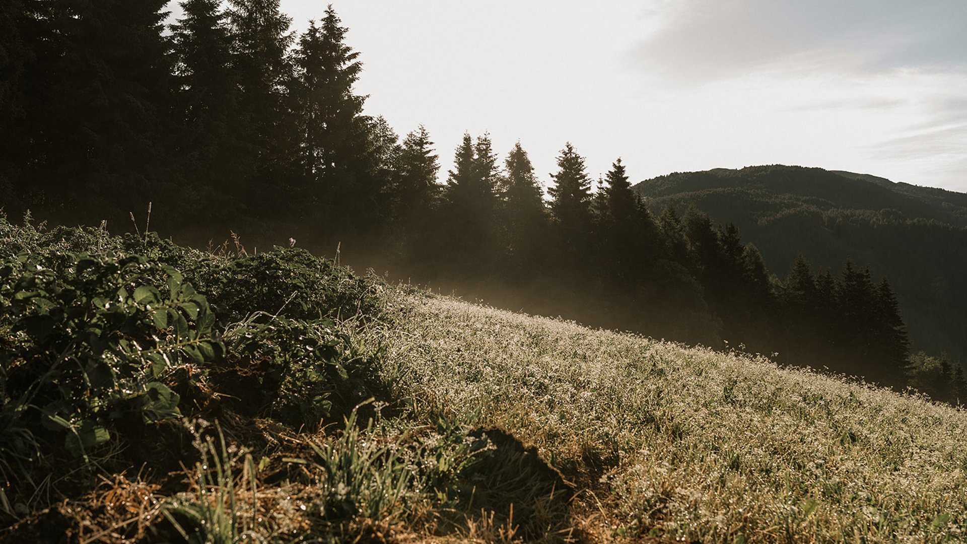 Nützliche Infos für Ihren Urlaub Nützliche Infos für Ihren Urlaub