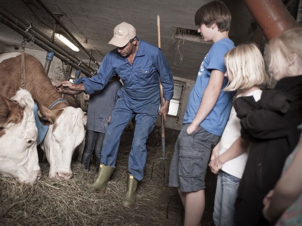 Holiday in nature: South Tyrol and what awaits you here Holiday in nature: South Tyrol and what awaits you here