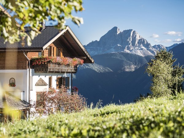 Holiday in nature: South Tyrol and what awaits you here Holiday in nature: South Tyrol and what awaits you here