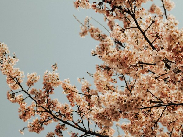 Frühling im Herol Frühling im Herol