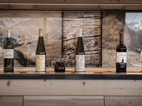 Holiday in nature: South Tyrol and what awaits you here Holiday in nature: South Tyrol and what awaits you here