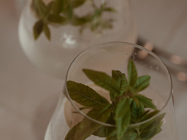 Holiday in nature: South Tyrol and what awaits you here Holiday in nature: South Tyrol and what awaits you here