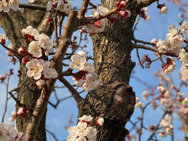 Frühling im Herol Frühling im Herol