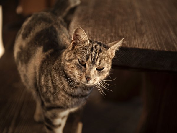 Holiday in nature: South Tyrol and what awaits you here Holiday in nature: South Tyrol and what awaits you here