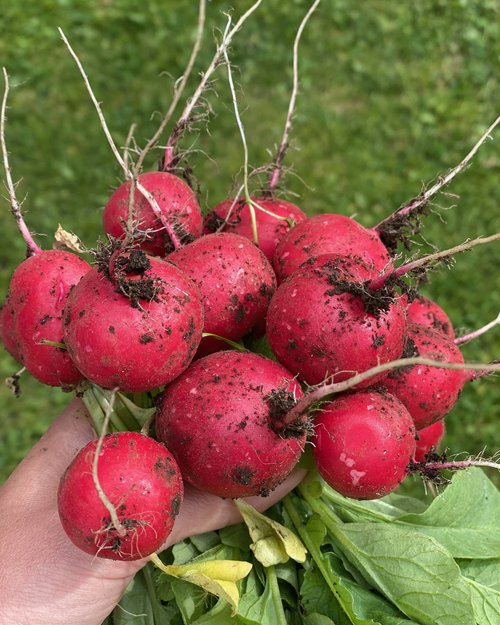 Herol: my mountain retreat and the philosophy behind it Herol: my mountain retreat and the philosophy behind it