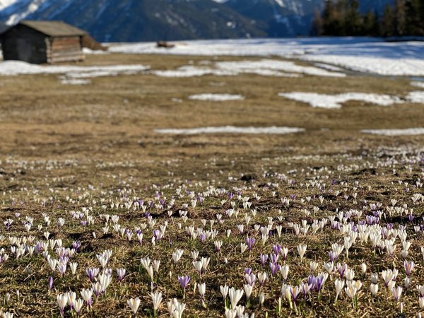 Frühling im Herol Frühling im Herol