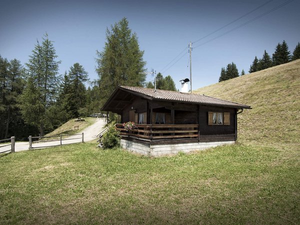 Holiday in nature: South Tyrol and what awaits you here Holiday in nature: South Tyrol and what awaits you here