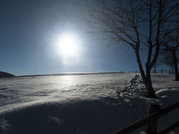 Holiday in nature: South Tyrol and what awaits you here Holiday in nature: South Tyrol and what awaits you here