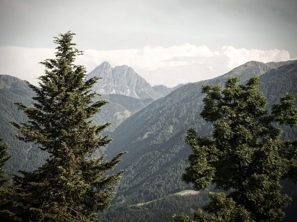 Holiday in nature: South Tyrol and what awaits you here Holiday in nature: South Tyrol and what awaits you here