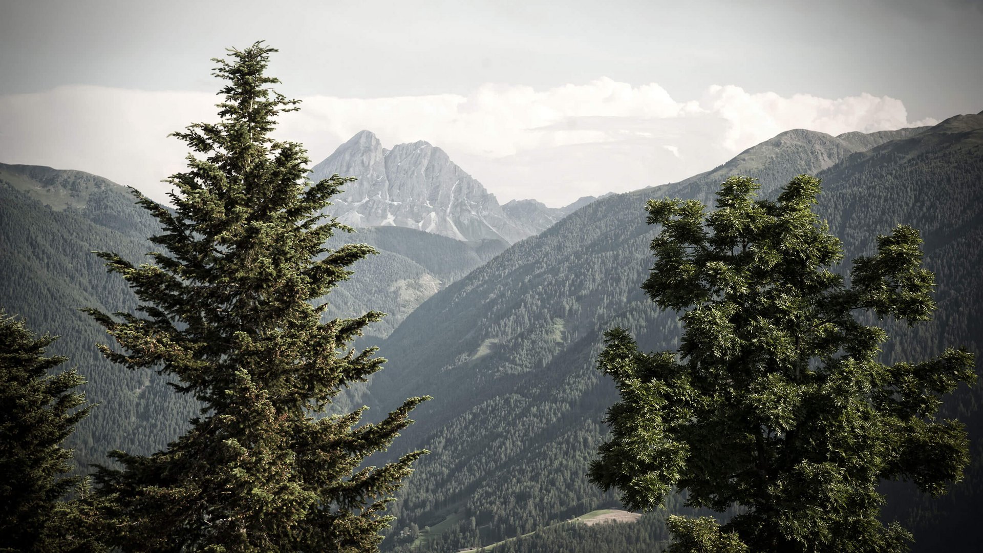 Wanderung Lüsner/Rodenecker Alm: It's summertime!