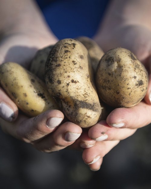 I prodotti naturali del nostro maso I prodotti naturali del nostro maso