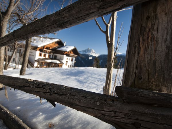 Holiday in nature: South Tyrol and what awaits you here Holiday in nature: South Tyrol and what awaits you here