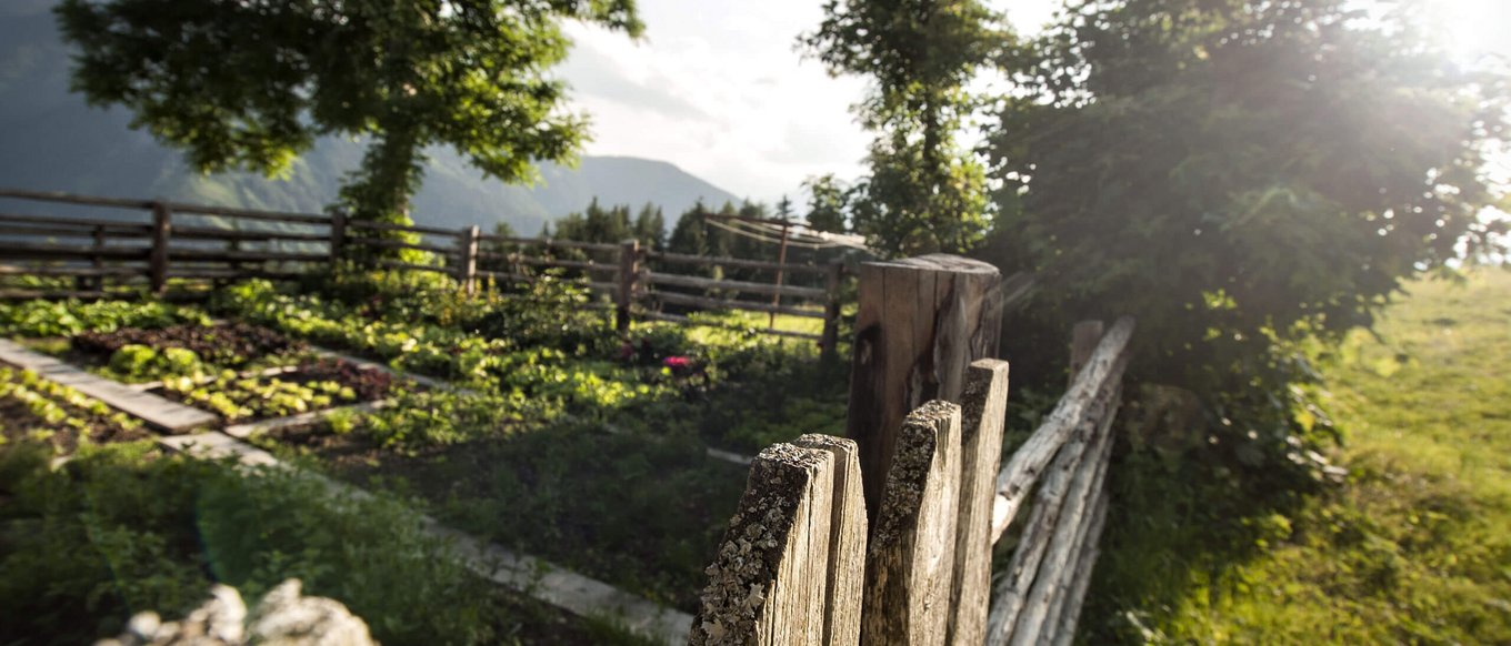 Our farm products: Naturally pure ingredients Our farm products: Naturally pure ingredients