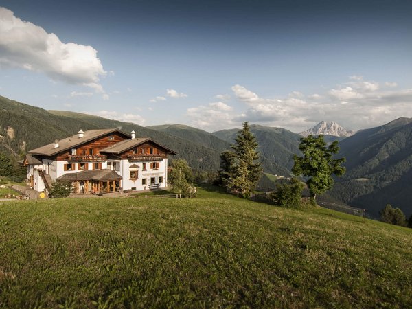 Holiday in nature: South Tyrol and what awaits you here Holiday in nature: South Tyrol and what awaits you here