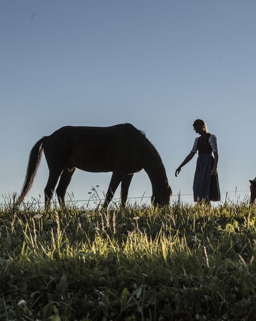 Autumn hiking in Valle Isarco/Eisacktal: It’s the most beautiful here! Autumn hiking in Valle Isarco/Eisacktal: It’s the most beautiful here!