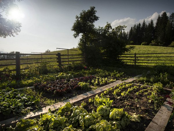 Holiday in nature: South Tyrol and what awaits you here Holiday in nature: South Tyrol and what awaits you here