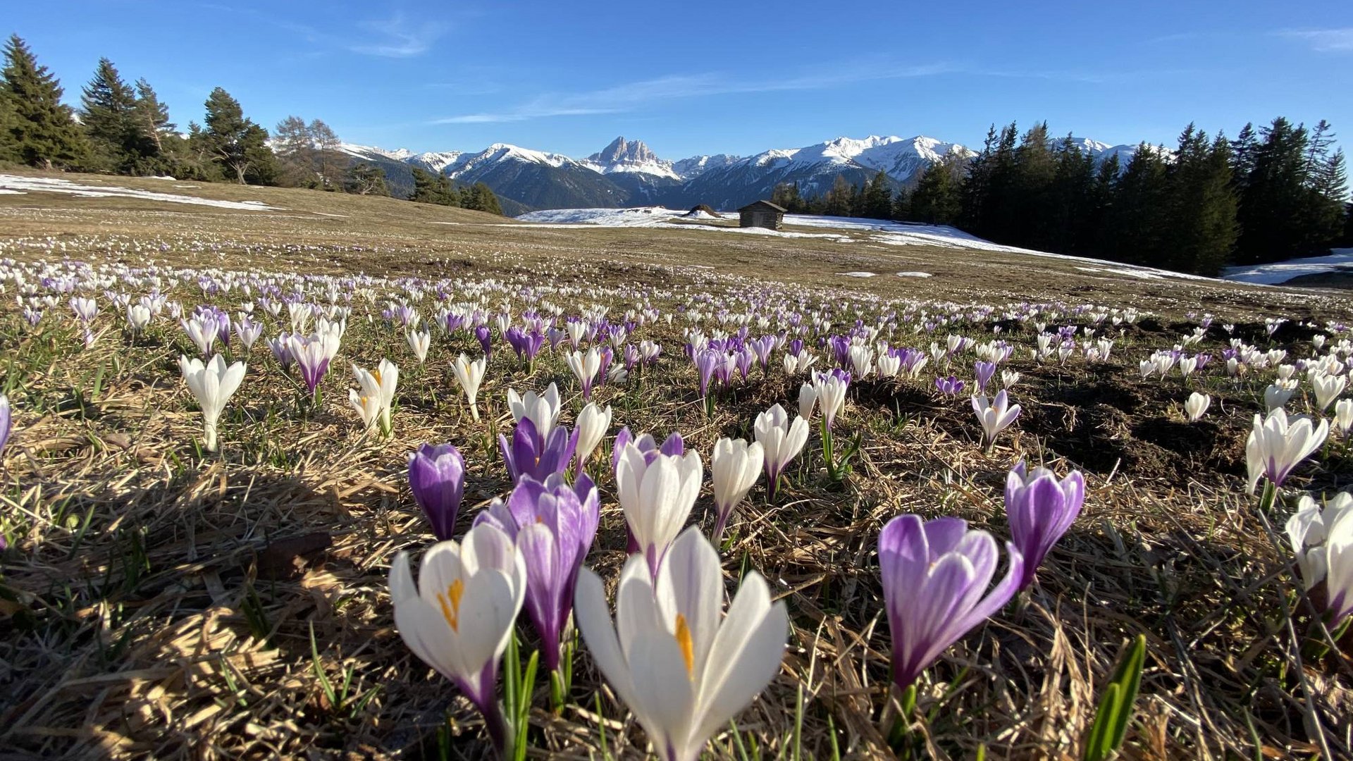 La primavera all’Herol