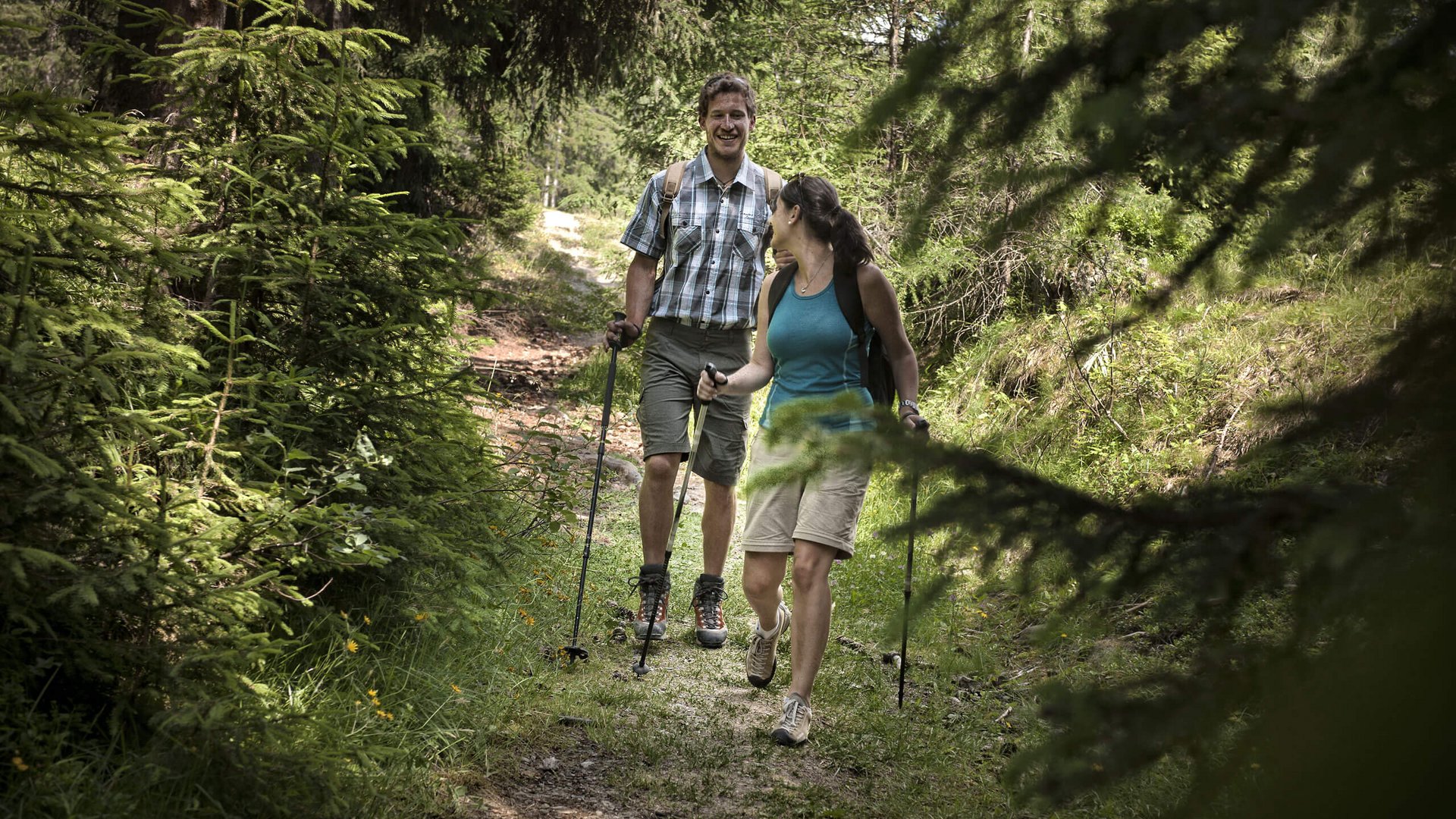 Hike Alpe di Luson/Lüsner Alm: It's summertime! Hike Alpe di Luson/Lüsner Alm: It's summertime!
