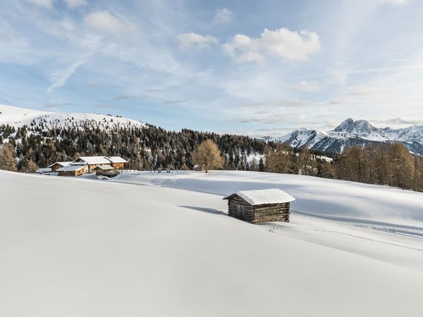 Snowshoe hiking on Alpe di Rodengo and Alpe di Luson Snowshoe hiking on Alpe di Rodengo and Alpe di Luson