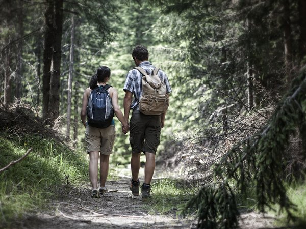 Holiday in nature: South Tyrol and what awaits you here Holiday in nature: South Tyrol and what awaits you here