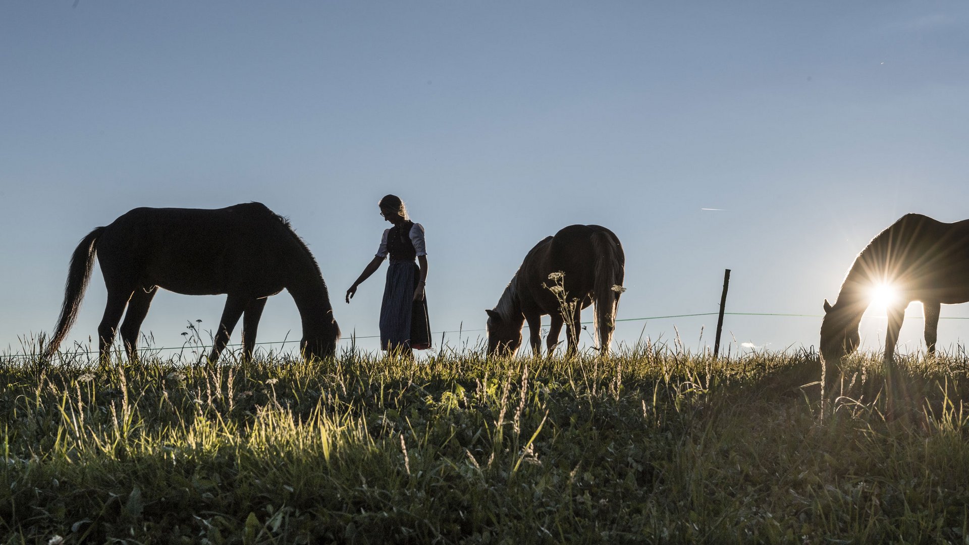 Horse riding in South Tyrol: Freedom on horseback Horse riding in South Tyrol: Freedom on horseback