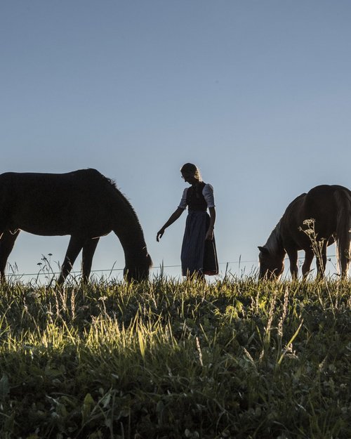 Mountain hotel in the Dolomites: Herol in Lüsen Mountain hotel in the Dolomites: Herol in Lüsen