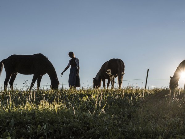 Holiday in nature: South Tyrol and what awaits you here Holiday in nature: South Tyrol and what awaits you here