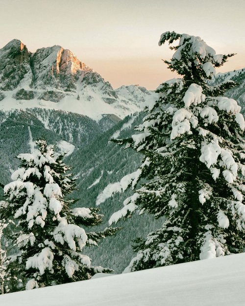 Snowshoe hiking on Alpe di Rodengo and Alpe di Luson Snowshoe hiking on Alpe di Rodengo and Alpe di Luson