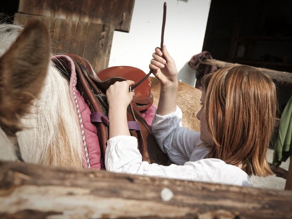 Holiday in nature: South Tyrol and what awaits you here Holiday in nature: South Tyrol and what awaits you here