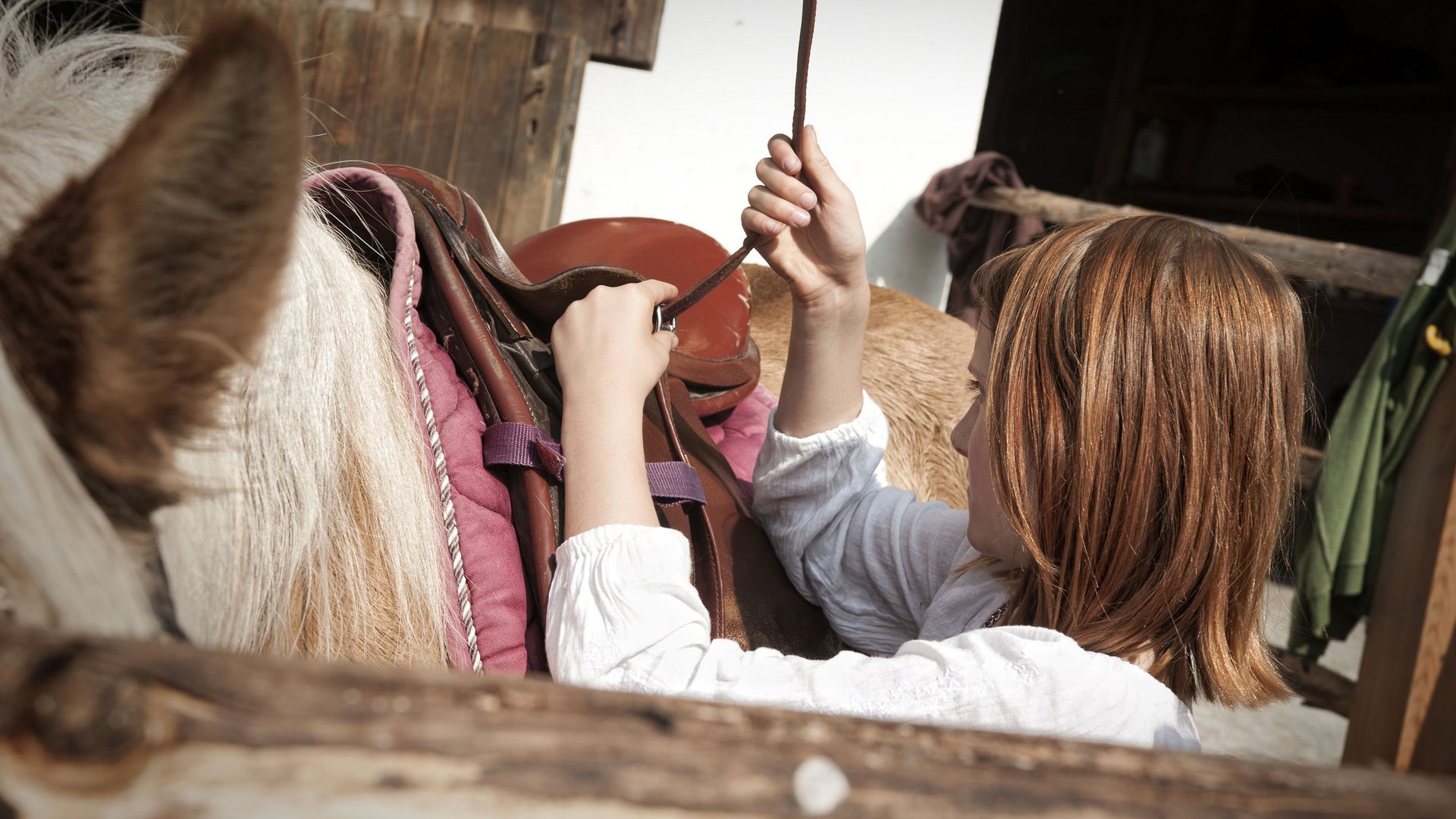 Horse riding in South Tyrol: Freedom on horseback Horse riding in South Tyrol: Freedom on horseback