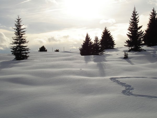 Holiday in nature: South Tyrol and what awaits you here Holiday in nature: South Tyrol and what awaits you here