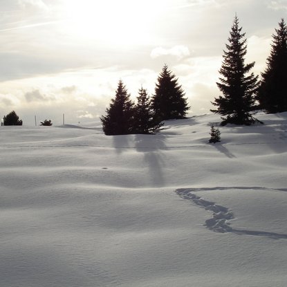 Hochzeitslocation Südtirol: Das Herol mieten Hochzeitslocation Südtirol: Das Herol mieten
