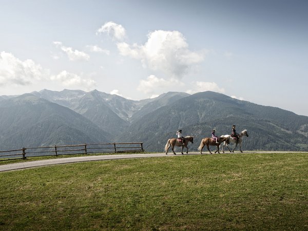 Holiday in nature: South Tyrol and what awaits you here Holiday in nature: South Tyrol and what awaits you here