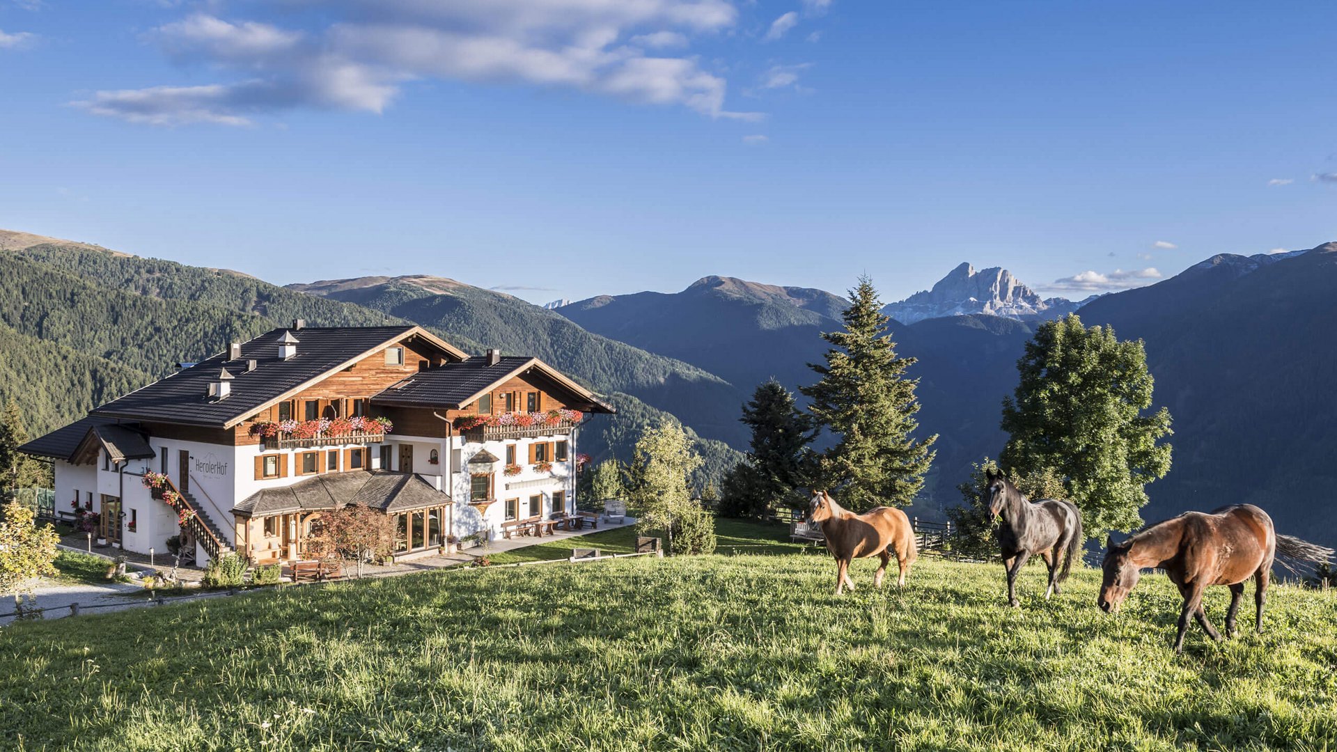 Hotel a Luson: Herol, my mountain retreat