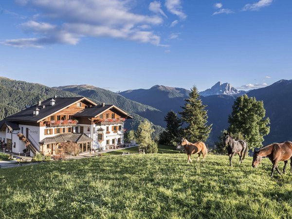 Holiday in nature: South Tyrol and what awaits you here Holiday in nature: South Tyrol and what awaits you here