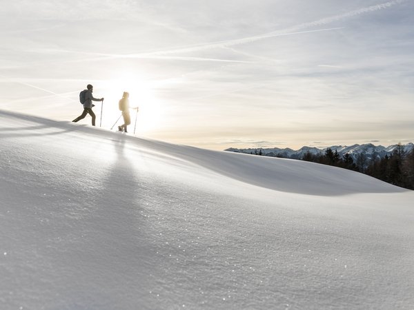 Holiday in nature: South Tyrol and what awaits you here Holiday in nature: South Tyrol and what awaits you here