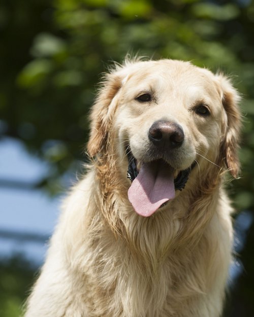 Horse riding in South Tyrol: Freedom on horseback Horse riding in South Tyrol: Freedom on horseback