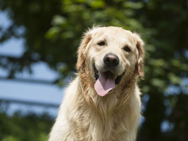 Holiday in nature: South Tyrol and what awaits you here Holiday in nature: South Tyrol and what awaits you here