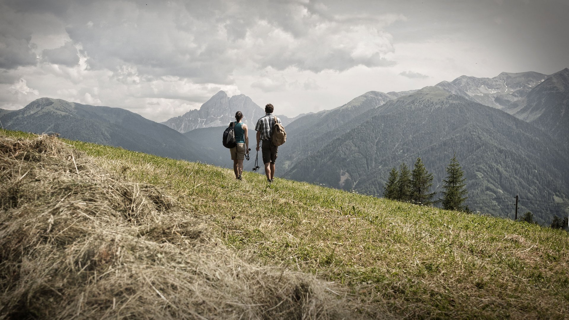Hike Alpe di Luson/Lüsner Alm: It's summertime! Hike Alpe di Luson/Lüsner Alm: It's summertime!