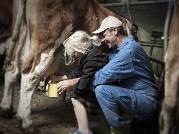 Holiday in nature: South Tyrol and what awaits you here Holiday in nature: South Tyrol and what awaits you here